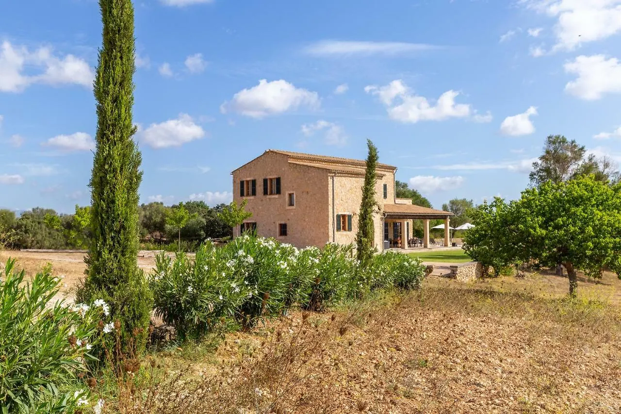 Son Mesquida D'Abaix Villa Algaida